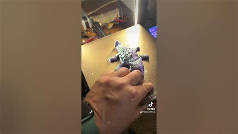 Successful 3d print from #stlflix - YouTube