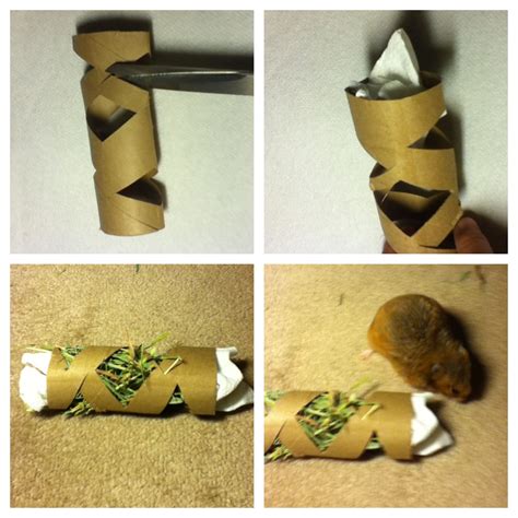 Handmade Diy Hamster Toys With Toilet Paper Rolls - Go-images Web