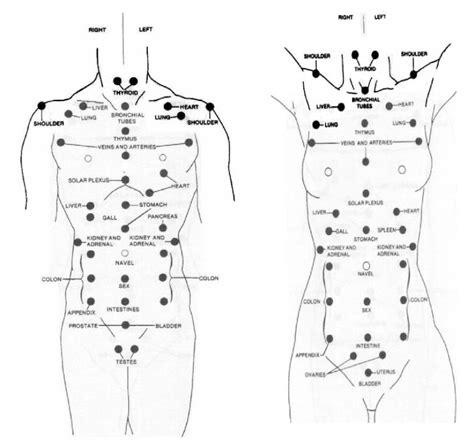 Reflexology – Learn Self Healing Techniques Online