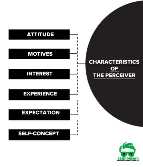 Perception | Definition, Nature, Factors Influence Perception - Geektonight