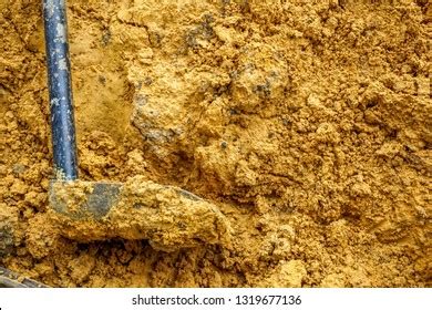 Yellow Soil Formed Under Broadleaved Forests Stock Photo 1319677136 | Shutterstock