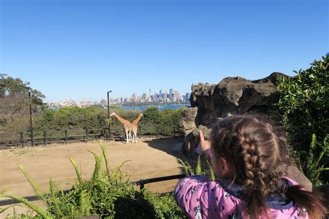 Taronga Zoo :: Last Look