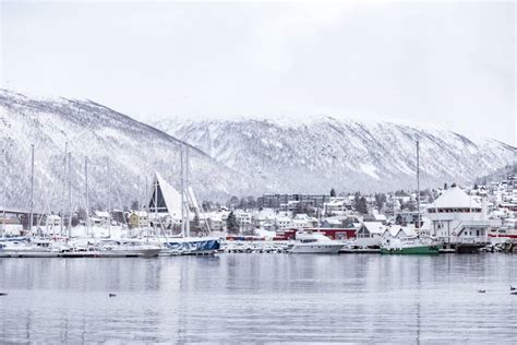 Things To Do in Tromso Norway - Grace J Silla