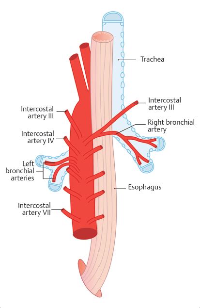 Emergency IR | Radiology Key