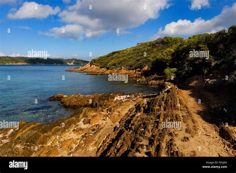 France, Var, Iles d'Hyeres, Parc National de Port Cros (National park ...