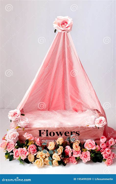 Colorful Digital Background for Newborn Photography with Flowers Stock Image - Image of digital ...