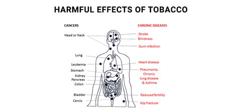 Tobacco and Cancer - Is it really related