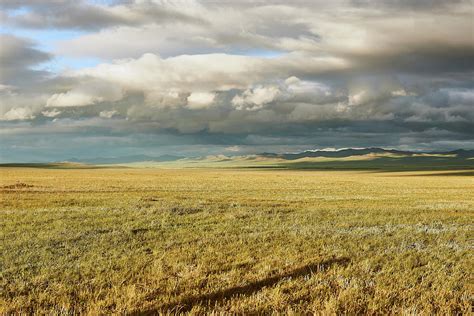 Mongolian Steppe Photograph by Dan Joseph - Fine Art America