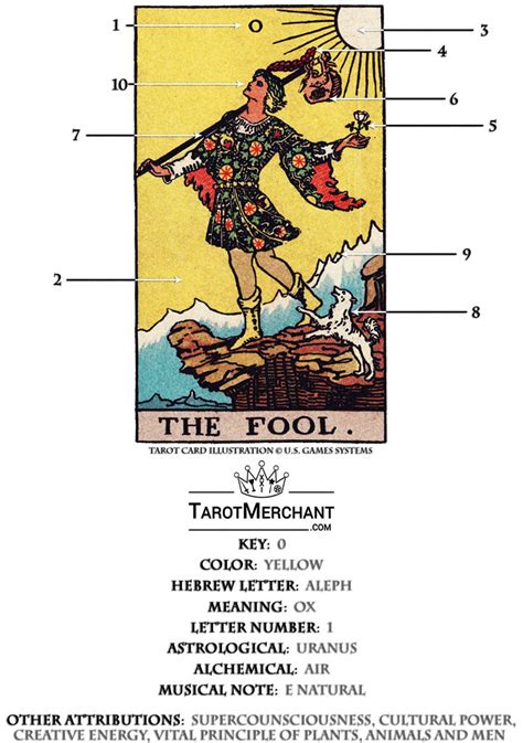 The Fool – Tarot Card Meaning with Video – TarotMerchant