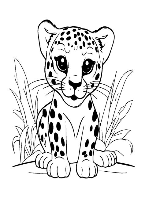 Baby Leopard Sitting On The Ground Coloring Page - Free Printable ...