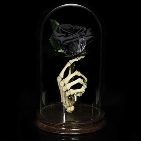 Authentic human skeleton hand holding a real rose (Black) | Art numérique, Dessin, Art