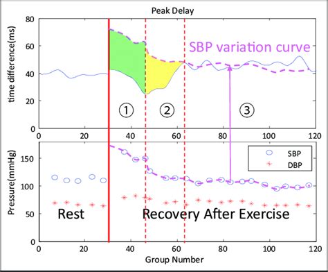 Explanation of exercise-recovery experiment. | Download Scientific Diagram