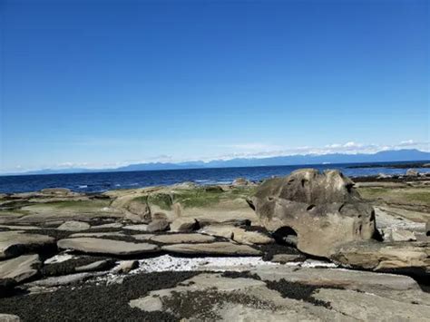 10 Best Trails and Hikes in Gabriola Island Trust Area | AllTrails