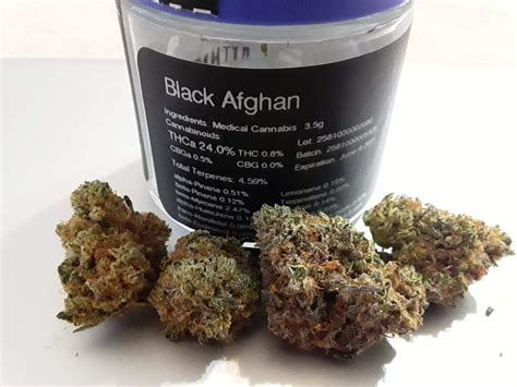 Black Afghan by Rhythm from Herba-Fi. Great flavor and the 2.47 of Myrcene is helpful so much ...