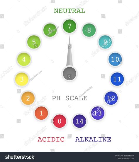 Ph Value Scale Chart Acid Alkaline Stock Vector (Royalty Free ...