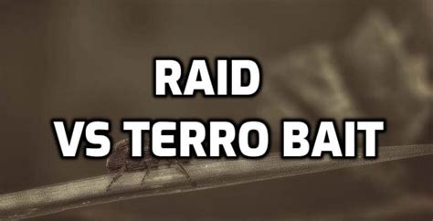 Terro Vs Raid Ant Bait - Comprehensive Guide