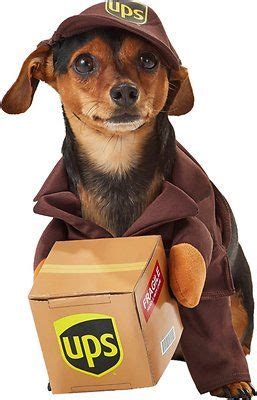 CALIFORNIA COSTUMES UPS Delivery Driver Dog & Cat Costume, Large ...