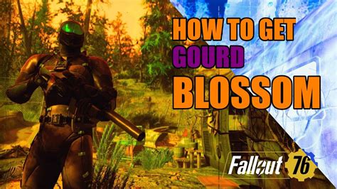 FALLOUT 76 - MY TOP THREE GOURD BLOSSOM LOCATIONS - YouTube