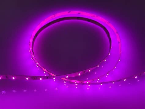 Pink Led Strip | ubicaciondepersonas.cdmx.gob.mx