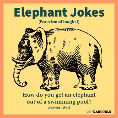 47 Funny Elephant Jokes For a Ton of Laughs (tusk, tusk)