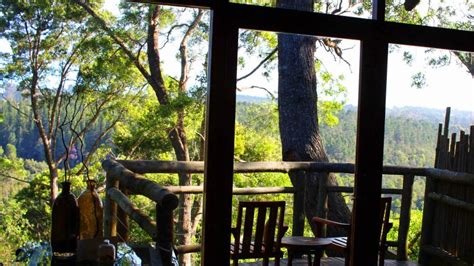 Tsala Treetop Lodge | Hotel Rates & Reviews | AFKTravel