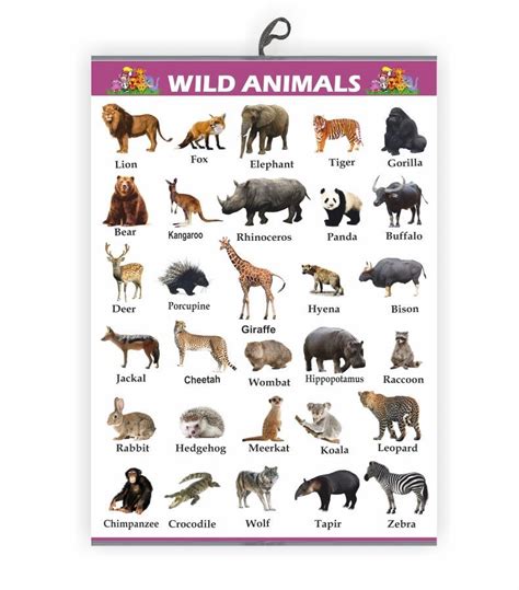 Wild Animals Chart for Kids Early Learning Educational Chart | Size ...