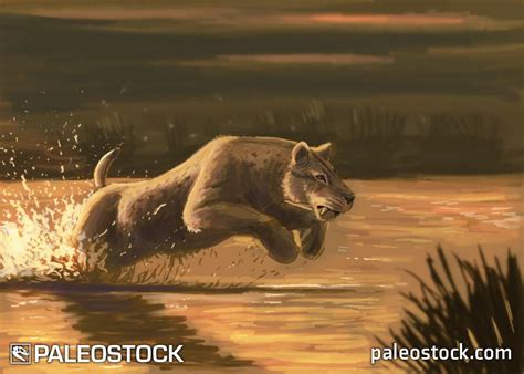 Homotherium stock image – Studio 252MYA