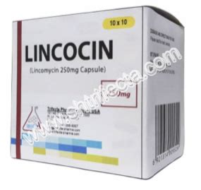 Lincomycin Capsules - Shanghai Trifecta Pharma Co. Ltd