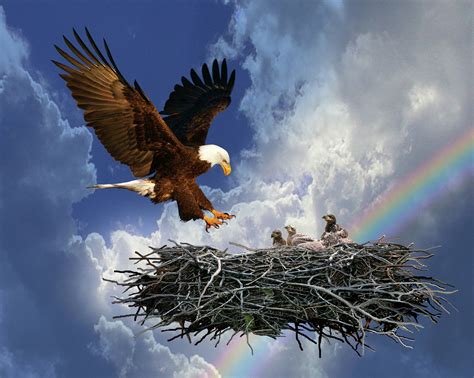 Eagles nets art | Destiny Eastgate Ministries