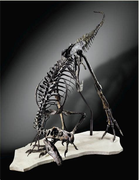 Rare Ornitholestes dinosaur skeleton to lead Natural History sale at S