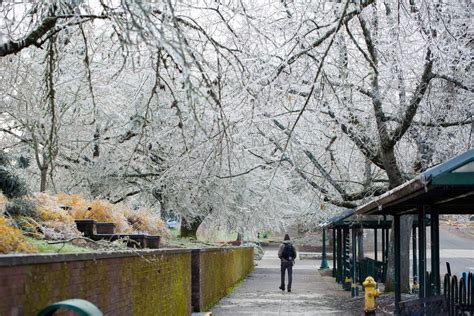 Ice storm University of Oregon | College campus, University of oregon ...