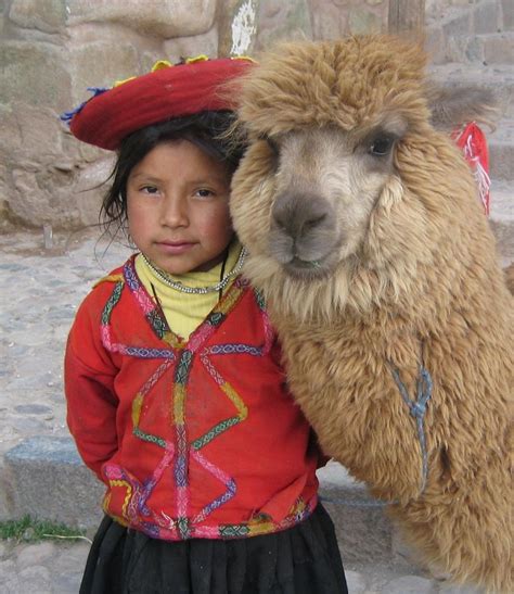 We Are The World, People Of The World, Alpacas, Precious Children, Inca, Animals For Kids, Cute ...