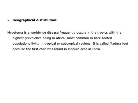 PPT - Immuneresponse to Mycetoma PowerPoint Presentation, free download - ID:3644983