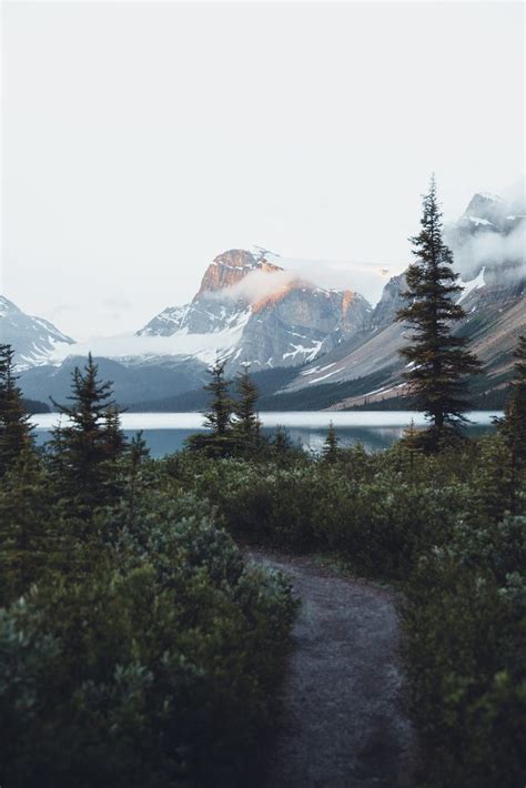 Bow Lake trail, Banff Nationalpark, Canada