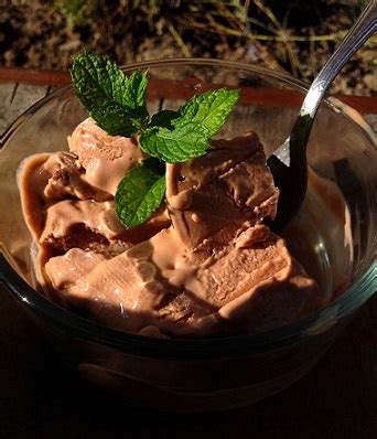 Vegan Gelato Recipe, Whats Cooking America