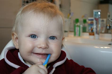 Free photo: brushing teeth, tooth, bless you, dentist, attractive, mouth, smile | Hippopx