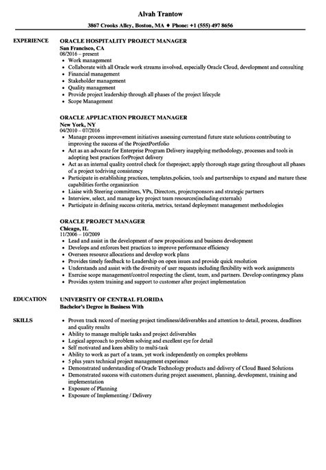 Oracle Erp Implementation Project Plan Sample | PDF Template