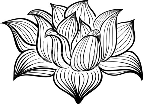 Vector Black and White Lotus Flower Stock Vector - FreeImages.com