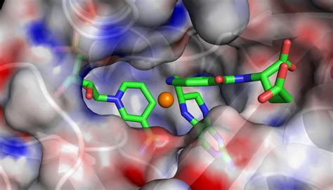 The Molecular Dynamics Process - LAMMPS Tube