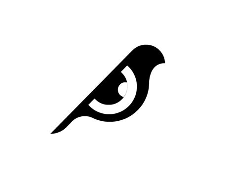 Bird Eye animation by SPG MARKS ️ on Dribbble