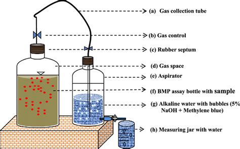 Schematic Of Water Displacement Method Download