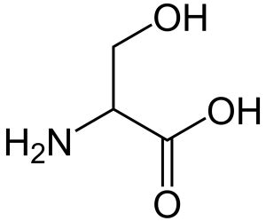 Serine - Functions & Structure | Examples of Serine| Chemistry | Byju's