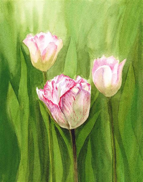 Watercolor Tulips