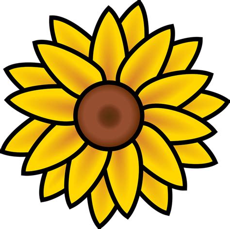 Sunflower Summer Nature · Free vector graphic on Pixabay