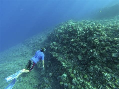 Molokini Crater Snorkeling | Kayak & Canoe to Molokini