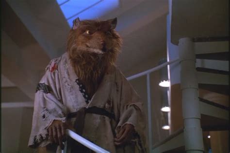 Splinter (Golden Harvest/Imagi) | TMNTPedia | FANDOM powered by Wikia