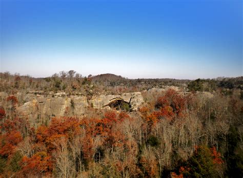 Daniel Boone National Forest | Wiki | Everipedia