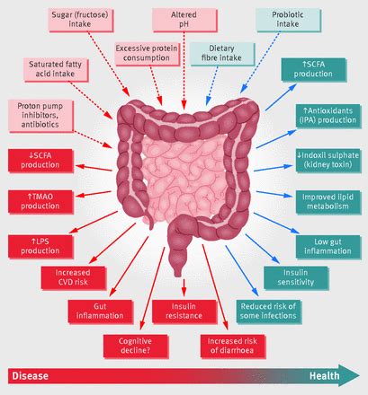 Sưu tầm – Are probiotics worth taking? The evidence so far – Non Prototype Language…