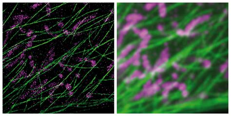 Inexpensive Super-Resolution Microscopy