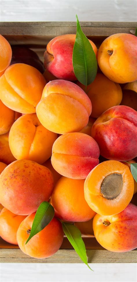 Peach Fruit Wallpapers - Wallpaper Cave